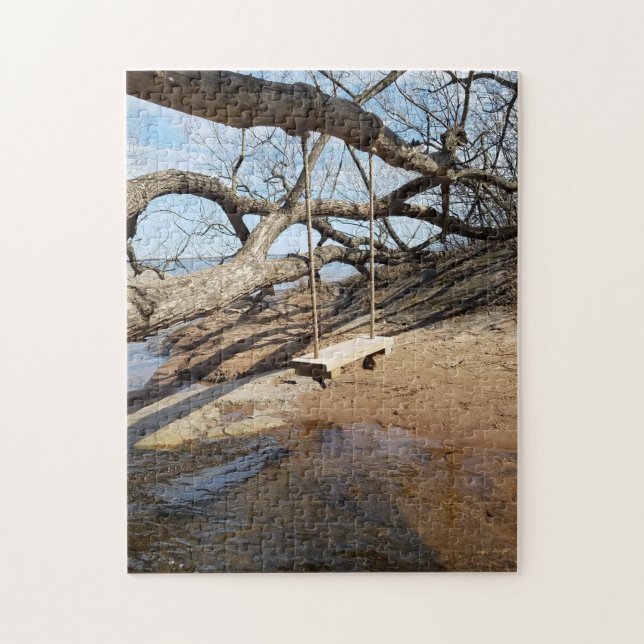 Puzzle Swing at Lake Superior Marquette Michigan (Vertical)