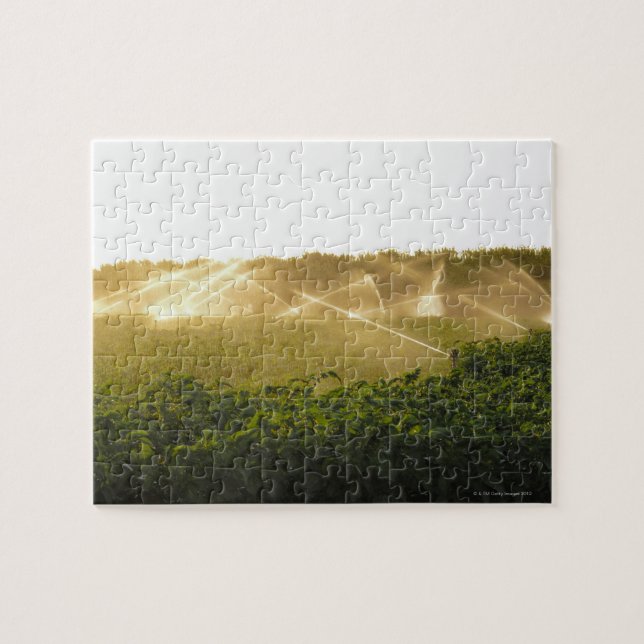 Puzzle Système d'irrigation agricole arrosant 2 (Horizontal)
