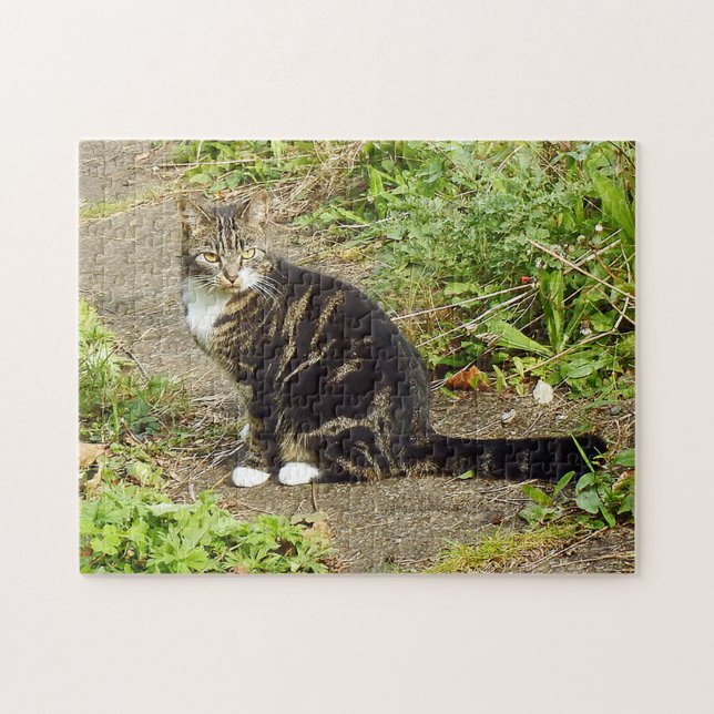 Puzzle Tabby cat (Horizontal)