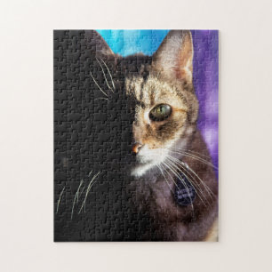 Puzzle Tabby Cat Face - Fond en noir