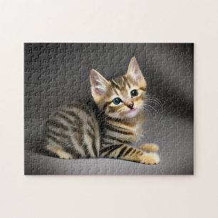 Puzzle Tabby chatte moelleux chatte bébé