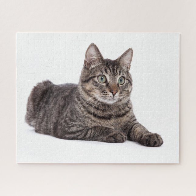 Puzzle Tabby Gris (Horizontal)