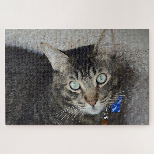 Puzzle Tabby Gris Cute Cat Green Eyes Élégant (Horizontal)