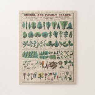 Puzzle Tableau antique de l'école botanique, nature vinta