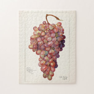 Puzzle Tableau vintage de raisins rouges