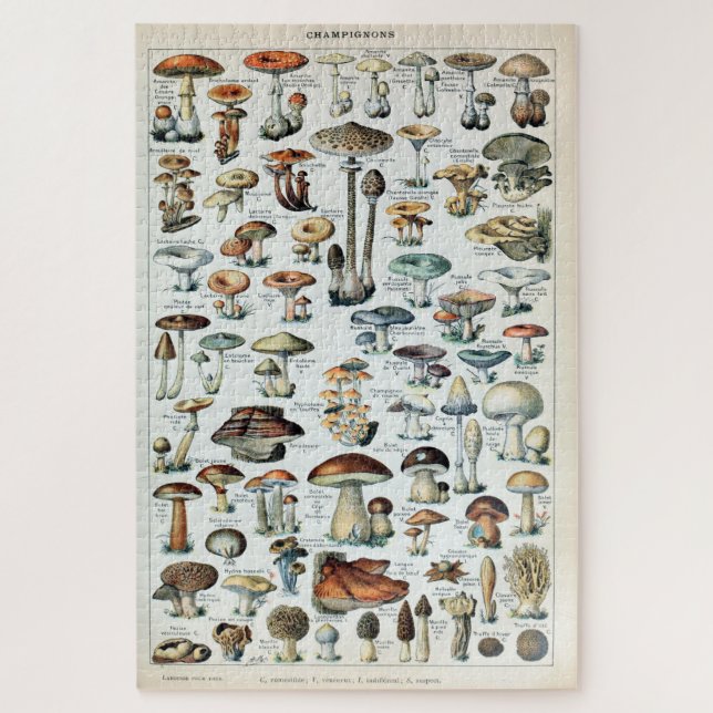 Puzzle Tableau vintage des champignons comestibles (Vertical)
