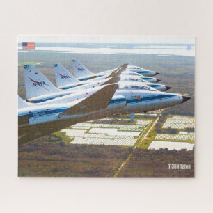 Puzzle TALON T-38N (16 x 20 pouces)