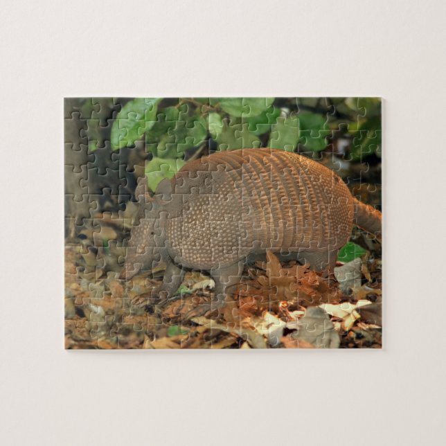 Puzzle Tatou du Texas (Horizontal)