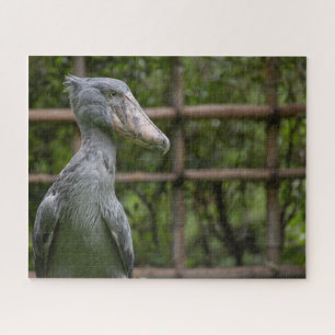 Puzzle Taupe (Balaeniceps rex)