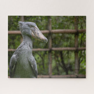 Puzzle Taupe (Balaeniceps rex)