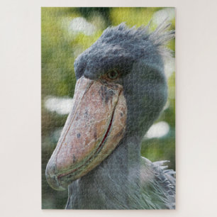 Puzzle Taupe (Balaeniceps rex)