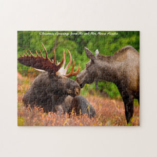 Puzzle Taureau et vache orignal Alaska. Vœux de Noël