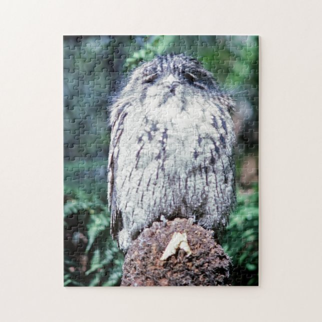 Puzzle Tawny Frogmouth, Tasmanie - Australie (Vertical)