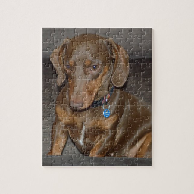 Puzzle Teckel de chocolat (Vertical)