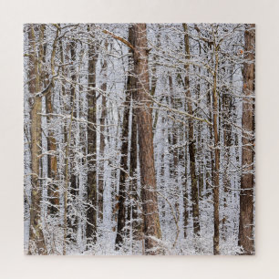 Puzzle Tempête de verglas en hiver dans la forêt - 20x20