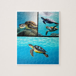 Puzzle Temps des tortues marines