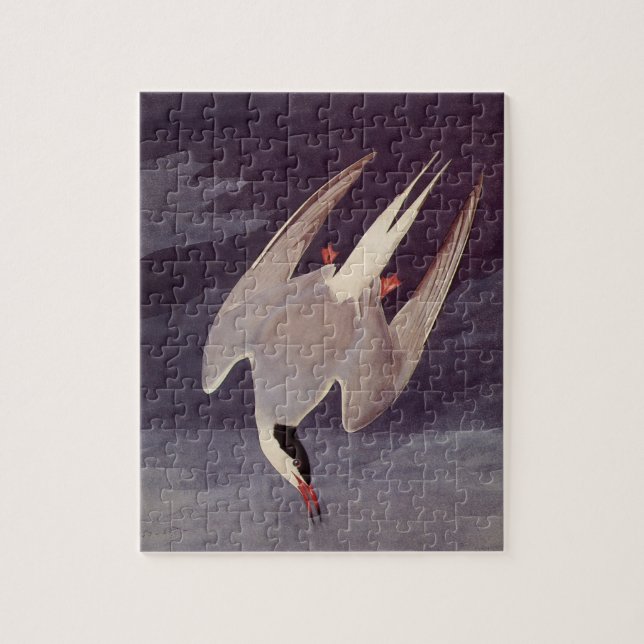 Puzzle Terne arctique par John James Audubon, Oiseaux Vin (Vertical)