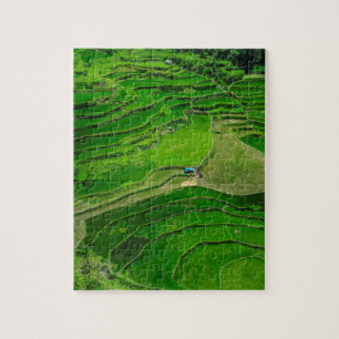 Puzzle Terrasses de riz vert, Philippines