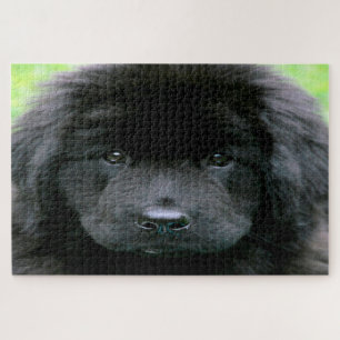 Puzzle Terre-Neuve.