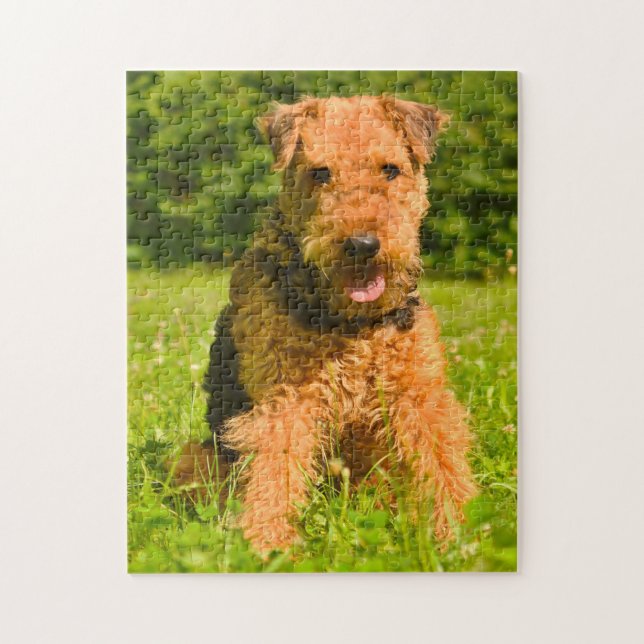 Puzzle Terrier Airedale. (Vertical)