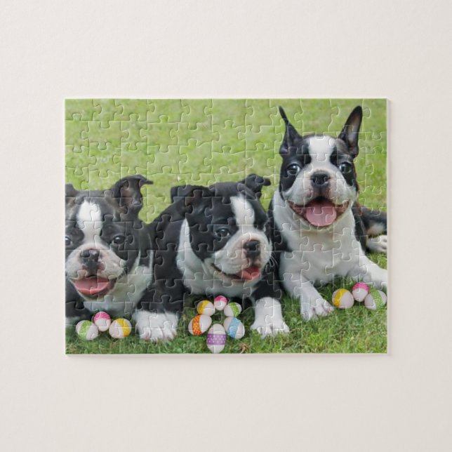 Puzzle terriers de Pâques Boston (Horizontal)