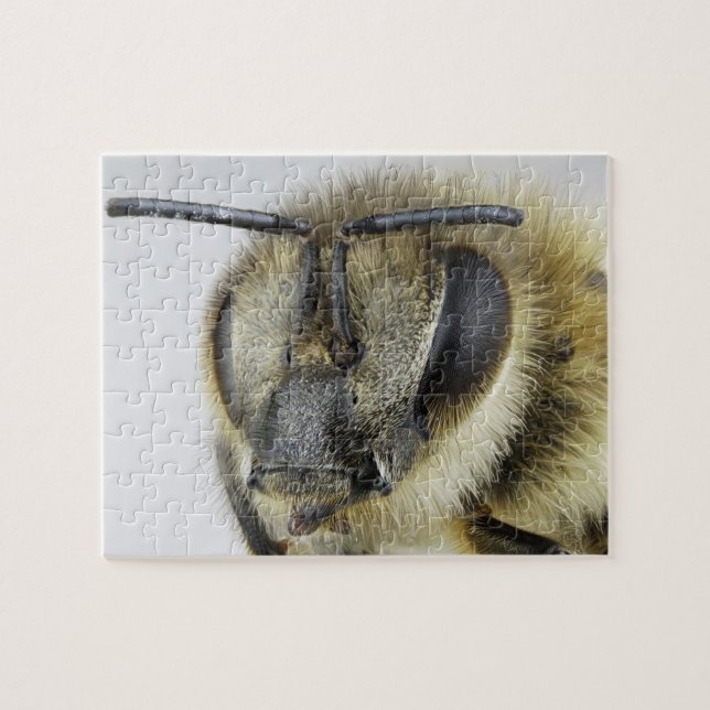 Puzzle Tête d'abeille (Horizontal)