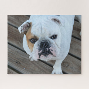 Puzzle Tête de bouledogue