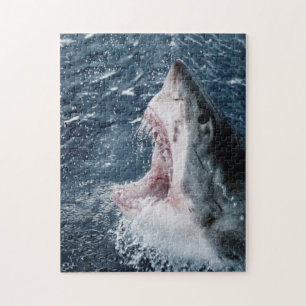 Puzzle Tête de grand requin blanc