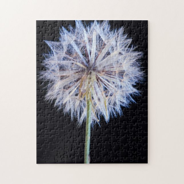 Puzzle Tête de semence Dandelion (Taraxacum Officinale) (Vertical)