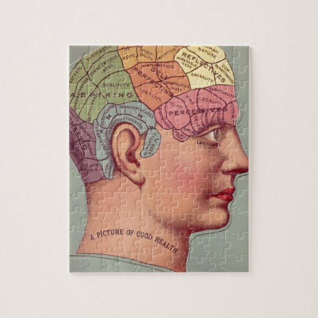 Puzzle Tête vintage de la pharmacologie (Vertical)