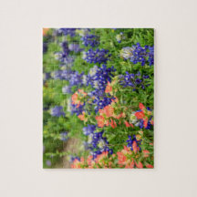Texas Bluebonnets et pinceaux rouges fleur sauvage
