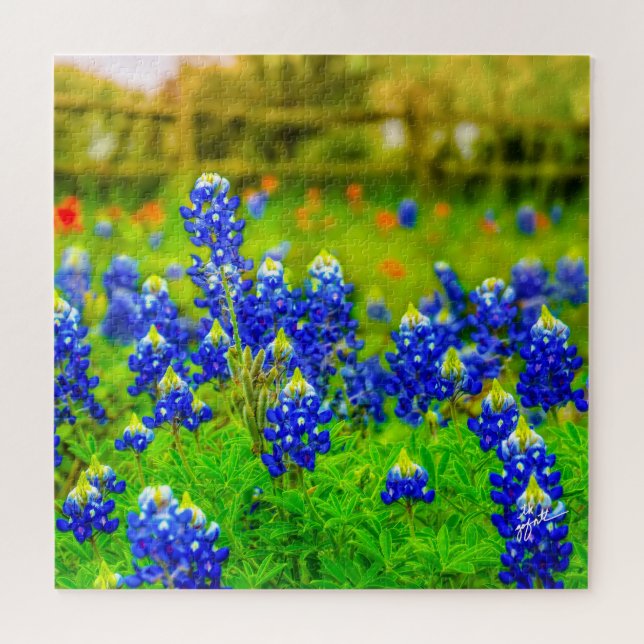 Puzzle Texas Bluebonnets Indian Floral Nature Travel (Horizontal)