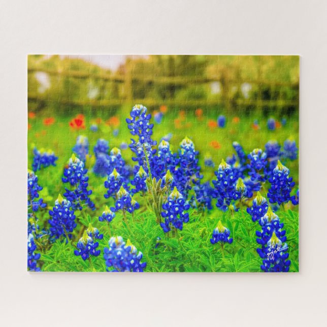 Puzzle Texas Bluebonnets Indian Paintbrush Floral (Horizontal)