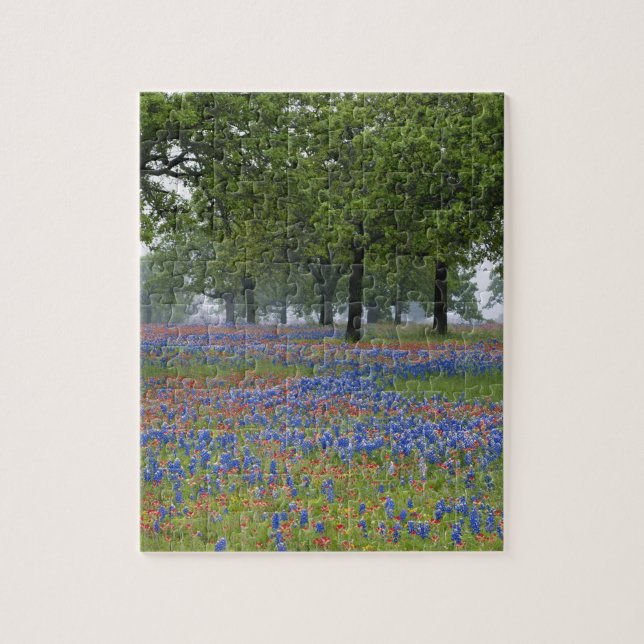 Puzzle Texas Hill Country, Texas Paintbrush et (Vertical)