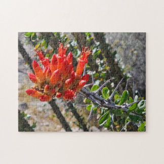 Puzzle Thorns & Fire Blossoms Puzzle, 11" x 14", 252 pcs