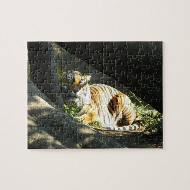 Puzzle Tiger Catnap (Horizontal)