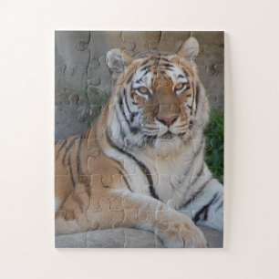 Puzzle Tiger Love