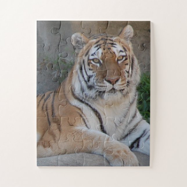 Puzzle Tiger Love (Vertical)