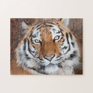 Puzzle Tiger Portrait