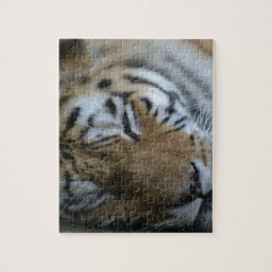 Puzzle Tigre