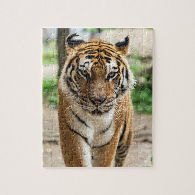 Puzzle Tigre (Vertical)