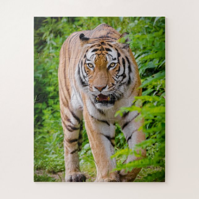 Puzzle Tigre Adulte Prowling Parmi Les Feuilles Vert Clai (Vertical)