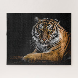 Puzzle Tigre animal sauvage de la Jungle