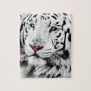 Puzzle Tigre blanc