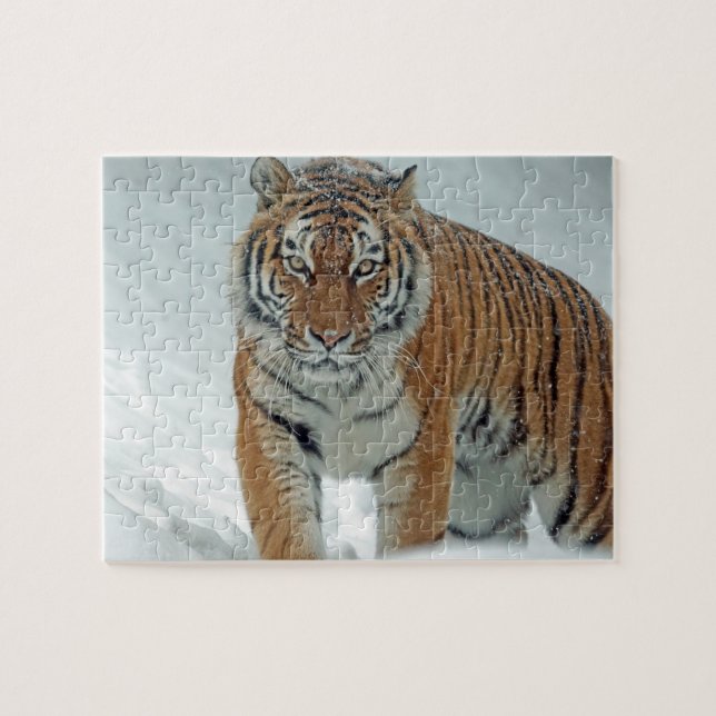 Puzzle Tigre dans la neige (Horizontal)