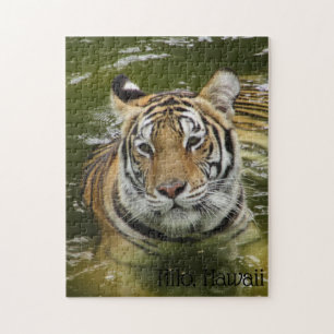 Puzzle Tigre dans l'eau