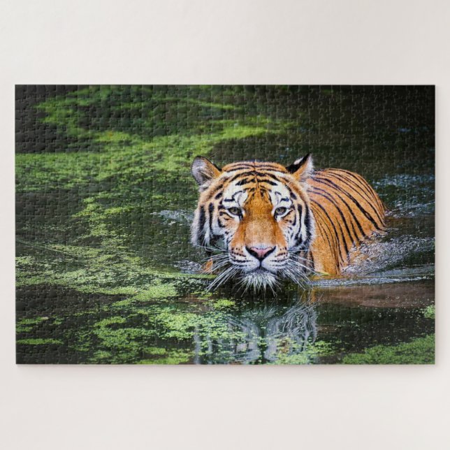Puzzle Tigre de natation (Horizontal)