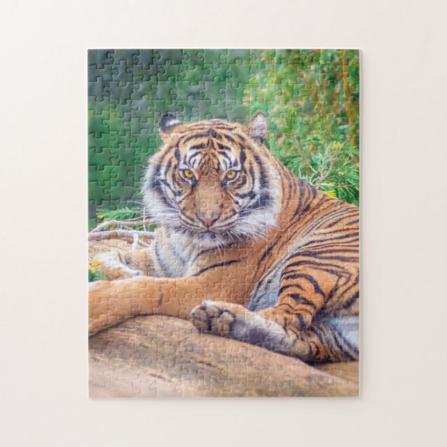 Puzzle Tigre de rappel relaxant (Vertical)
