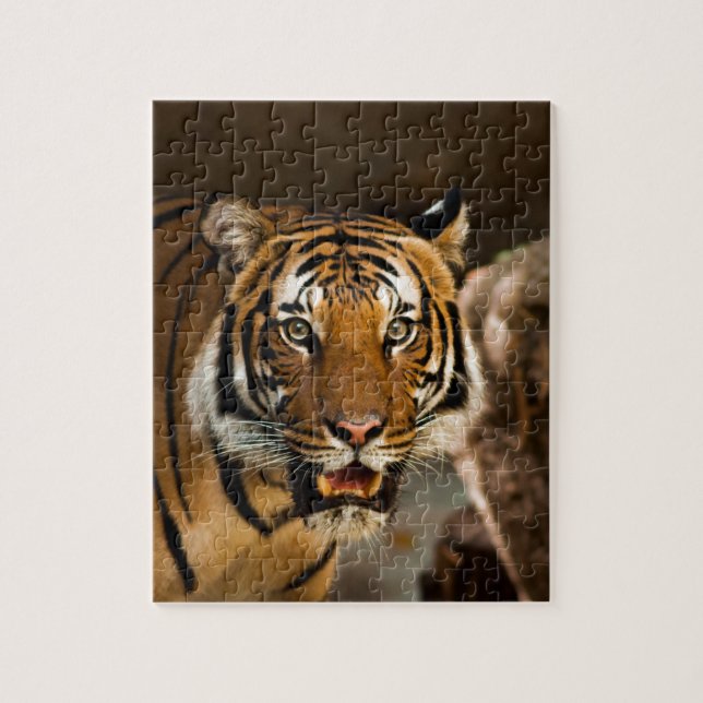 Puzzle Tigre de Sibérie (Vertical)