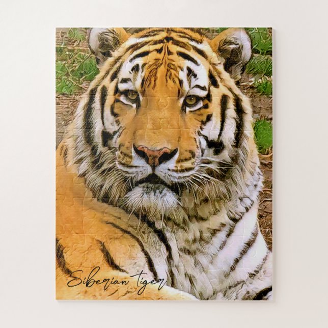 Puzzle Tigre de Sibérie ジ グ ソ パ ー ズ ル (Vertical)